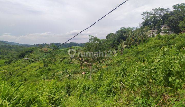 Tanah best view pegunungan di jalan utama sukamakmur bogor 2