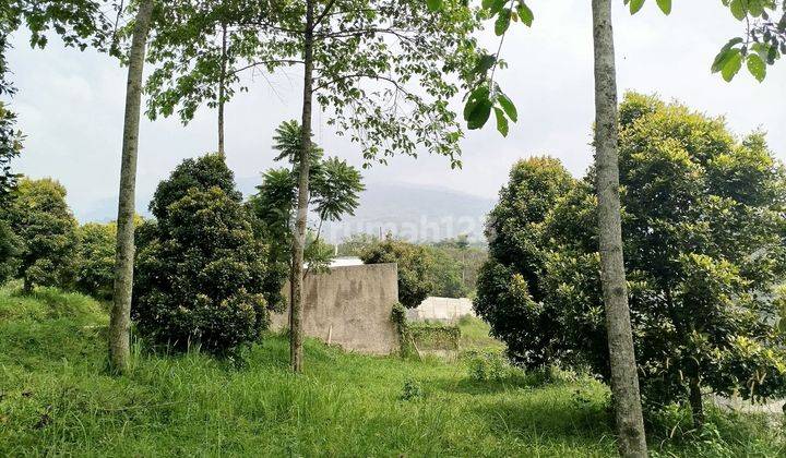 Tanah best view gunung salak di cijeruk kab bogor 2