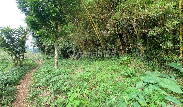 Tanah di Kawasan ciapus ciomas bogor cocok untuk villa 2