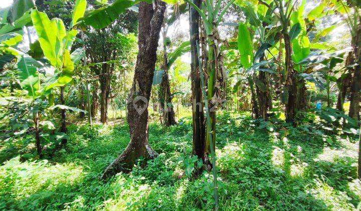 Tanah pemandangan gunung di cijeruk bogor 2