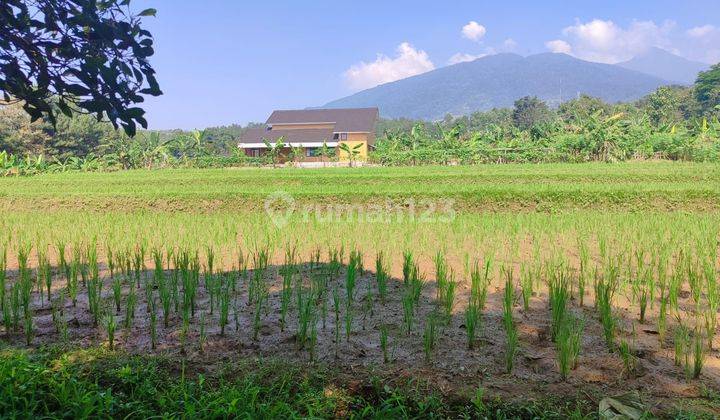 Tanah pemandangan gunung di cijeruk bogor 1