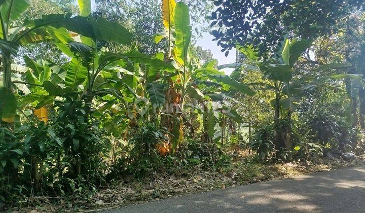 Tanah siap bangun cocok untuk Villa di cijeruk bogor 1