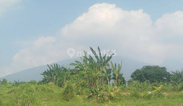 Tanah best view kota dan gunung di cijeruk bogor murah 1