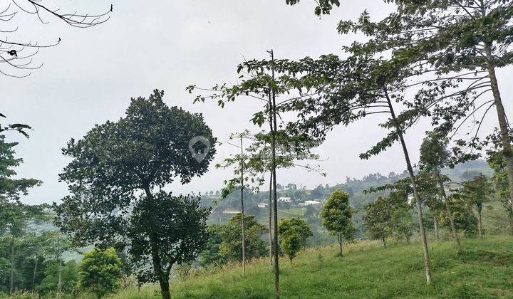 Tanah view gunung cocok untuk Villa di cijeruk bogor 1