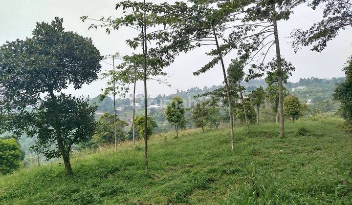 Tanah view gunung cocok untuk Villa di cijeruk bogor 2