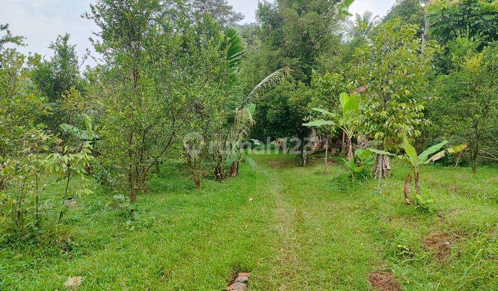 Tanah cocok untuk Villa lokasi di cijeruk bogor 1