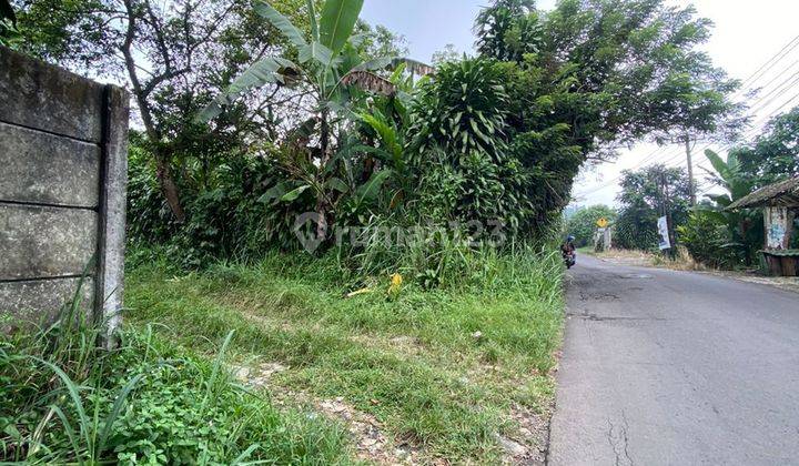 Tanah di kecamatan ciomas bogor cocok untuk berkebun dan villa 1