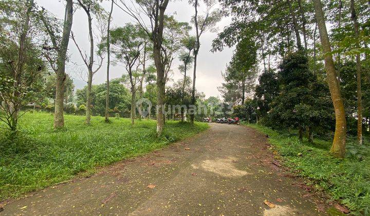 Tanah Best View DiBawah Kaki Gunung Desa Tajur halang Cijeruk 1