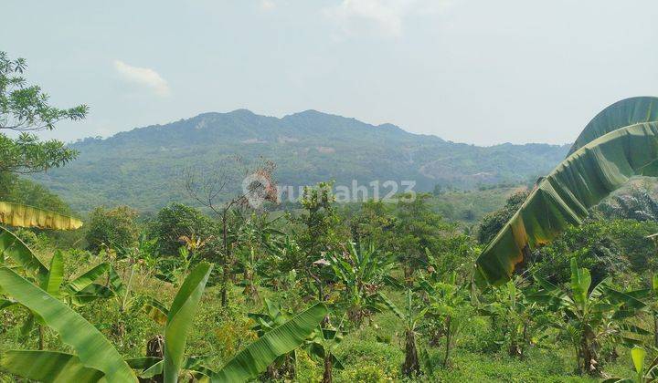 Tanah Murah Best View Di Kawasan Pabuaran Sukamakmur Bogor  1