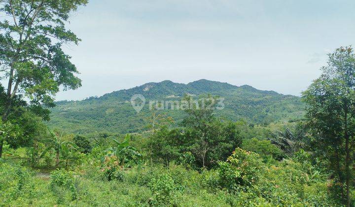 Tanah Murah Best View Di Kawasan Sukamakmur Bogor 1