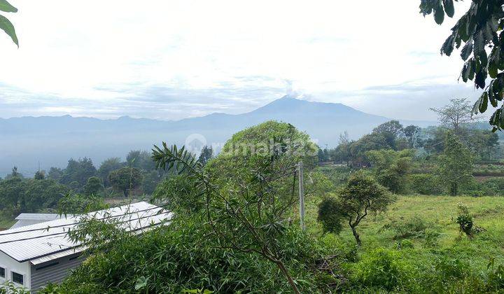 Tanah Best View Di Cijeruk Bogor Cocok Untuk Di Bangun Villa 1