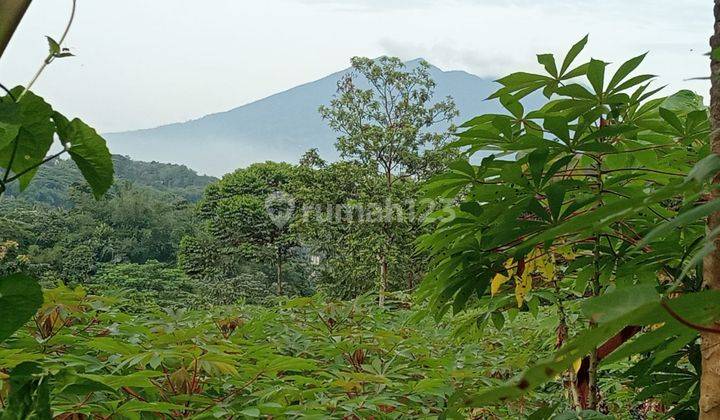 Tanah View Gunung Di Kawasan Gunung Geulis Sukaraja Bogor 1