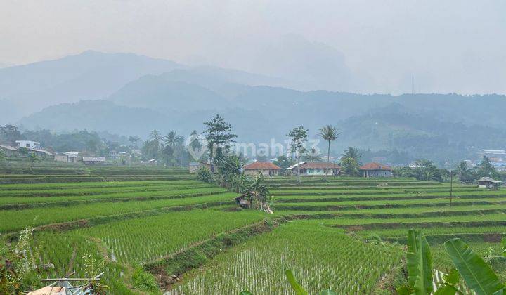 Tanah Sawah View Pegunungan Di Daerah Cijeruk Kab Bogor  2