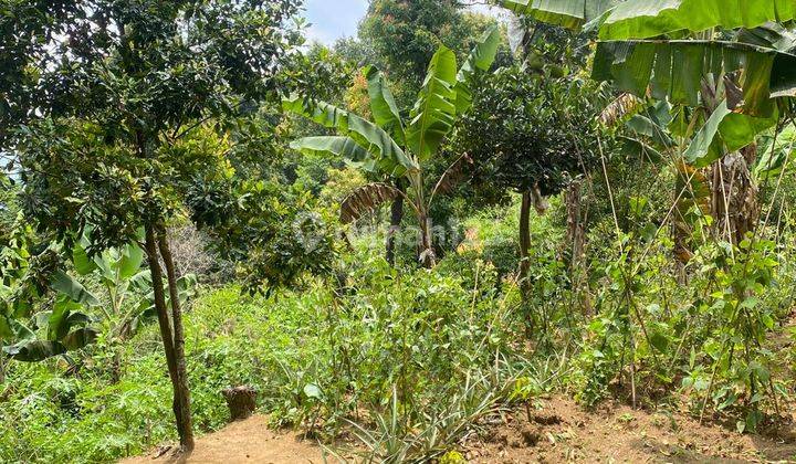 Tanah Di Cijeruk Pemandangan Kota Cocok Di Bangun Villa 2