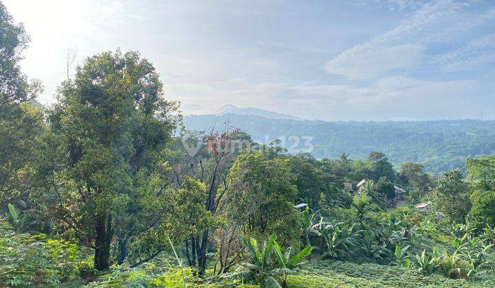 Tanah Best View Gunung Di Desa Cijayanti Dekat Rainbow Hill Golf 1