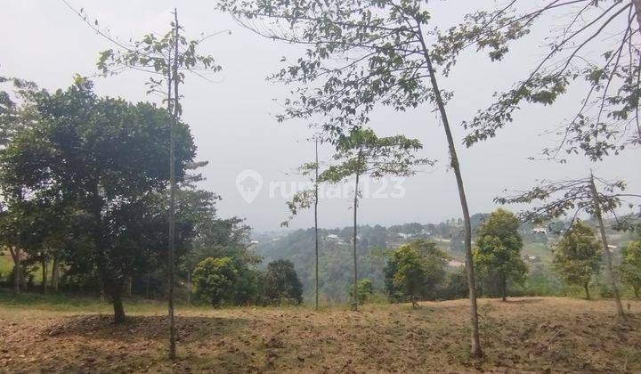 Tanah Best View Pegunungan Dan Kota Bogor Cocok Untuk Villa  1