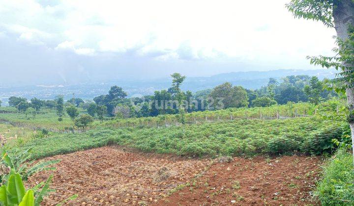 Tanah Best View Di Bukit Hambalang Babakan Madang 1