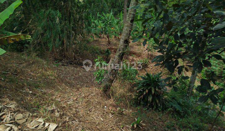 Tanah Di Pinggir Jalan Cocok Untuk Rumah Di Cijeruk Bogor  2