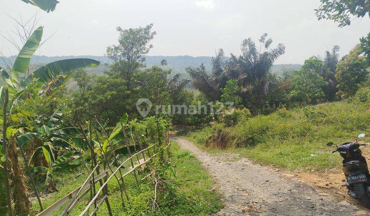 Tanah Pemandangan Hijau Perbukitan Di Wilayah Sukamakmur Bogor  2