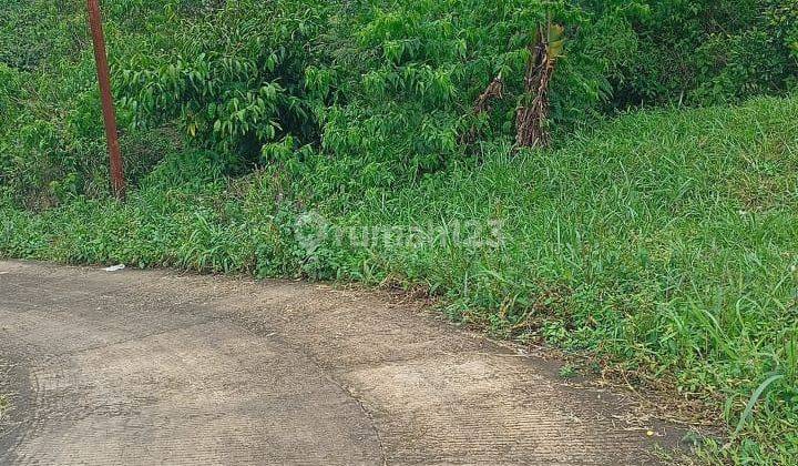 Tanah View Bagus Di Tajur Halang Cijeruk Bogor 2