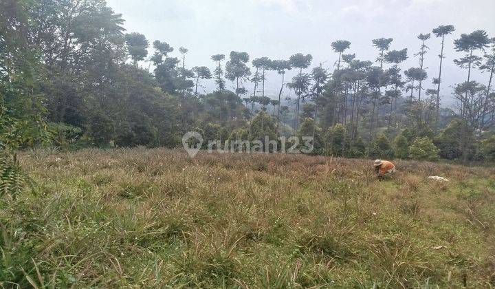 Tanah Best View Di Cijeruk Cocok Untuk Di Bangun Villa 2