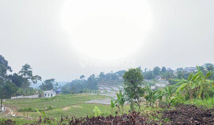 Tanah Di Wilayah Cigombong Bogor Cocok Untuk Di Bangun Villa 1