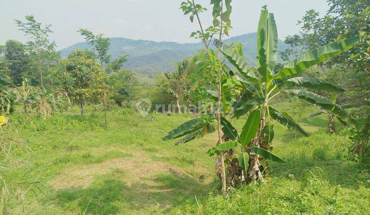 Tanah Murah Best View Di Kawasan Pabuaran Sukamakmur Bogor  2