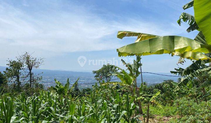 Tanah Kebun Dekat Kopi Salaca Cigombong Bogor Best View 1