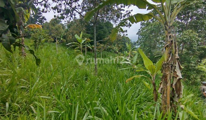 Tanah Di Sukamakmur Pemandangan Bagus Dan Ada Mata Airnya  2