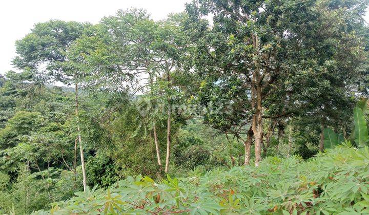 Tanah View Gunung Di Kawasan Gunung Geulis Sukaraja Bogor 2