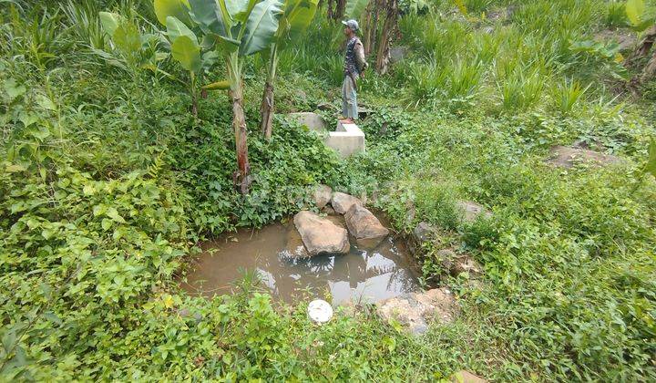 Tanah Di Sukamakmur Pemandangan Bagus Dan Ada Mata Airnya  1