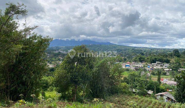 Tanah View Bagus Pegunungan Dan Buki Hijau Di Megamendung Bogor  1