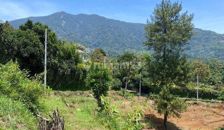 Tanah View Gunung Di Kawasan Cigombong Dekat Kopi Salaca 2