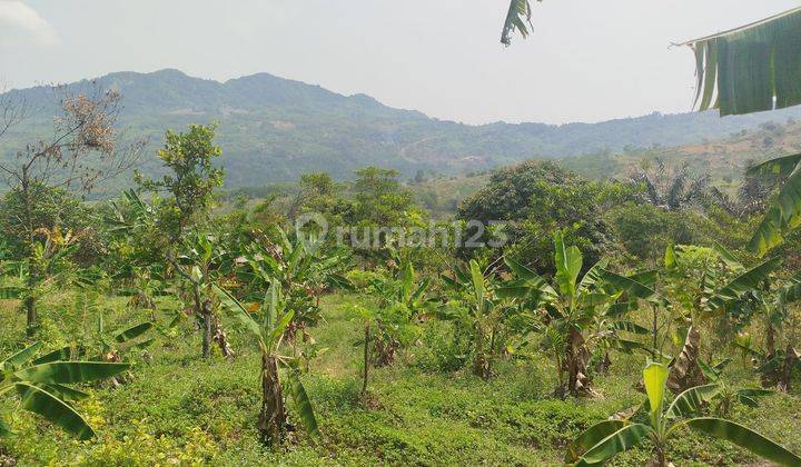 Tanah Pemandangan Hijau Perbukitan Di Wilayah Sukamakmur Bogor  1