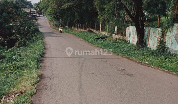 Tanah Murah Di Kawasan Sukamakmur Cocok Untuk Peternakan 2