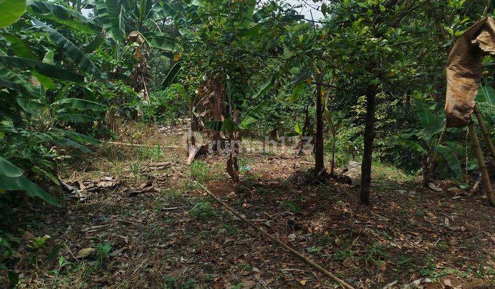 Tanah Di Pinggir Jalan Cocok Untuk Rumah Di Cijeruk Bogor  1