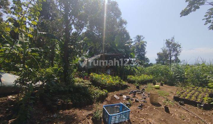 Tanah Di Tajur Halang Cijeruk View Gunung Dan Kota 1