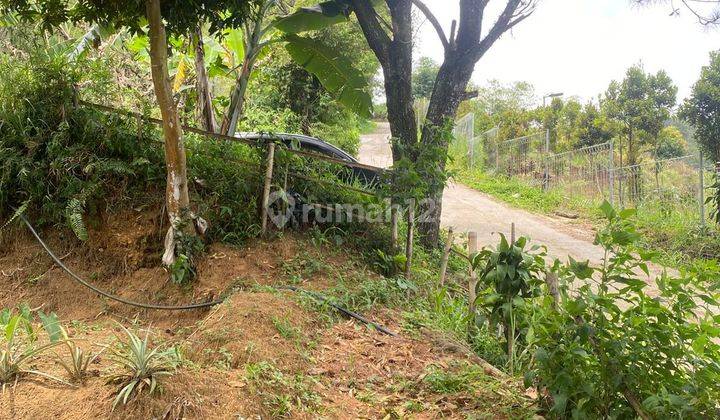 Tanah Best View Dekat Boja Farm Cijeruk Bogor  2