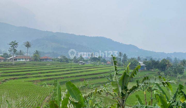 Tanah Sawah View Pegunungan Di Daerah Cijeruk Kab Bogor  1