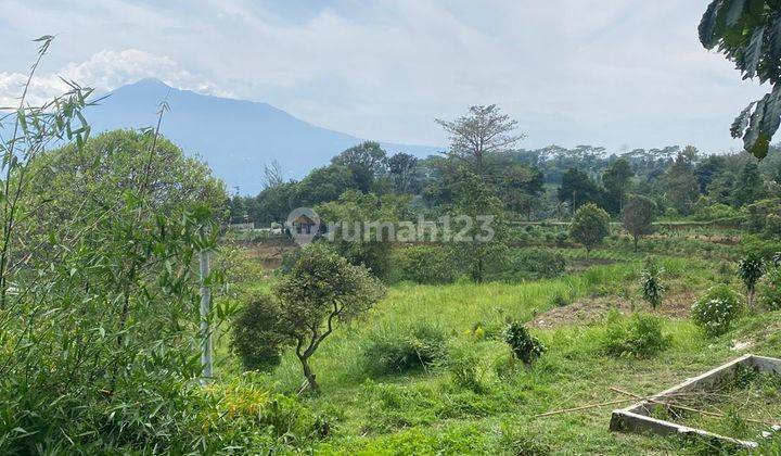 Tanah Murah best View Indah Di Tajur Halang Cijeruk Bogor  1