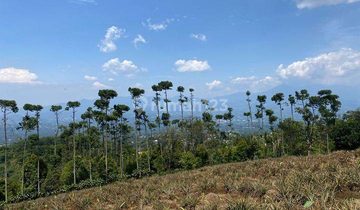 Tanah Best View Di Tajur Halang Dekat Gajog Hill Camp Area 1