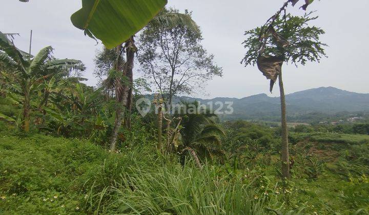 Tanah Pemandangan Bagus Di Jalan Utama Sukamakmur Bogor  1