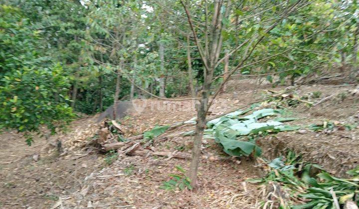 Tanah Siap Bangun Untukk Villa Di Gunung geulis Sukaraja 1