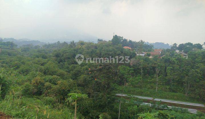 Tanah Best View Cocok Untuk Kebun Dan Vila Di Cijeruk Bogor  2