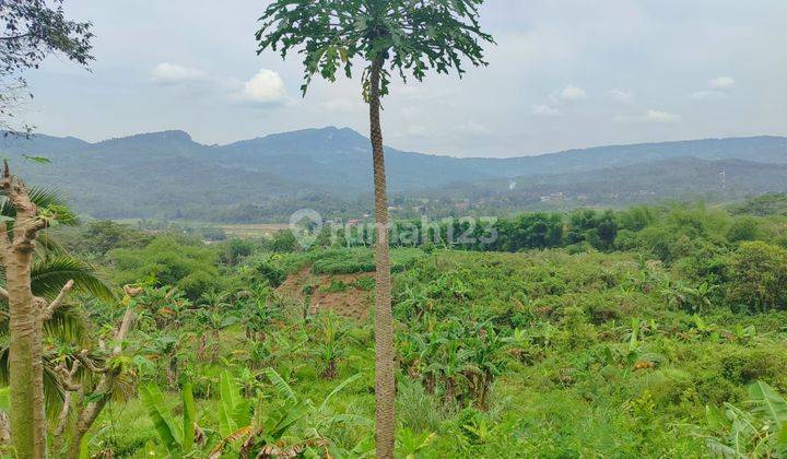 Tanah Best View Di Sukamakmur Bogor Harga Murah Pinggir Jalan 1