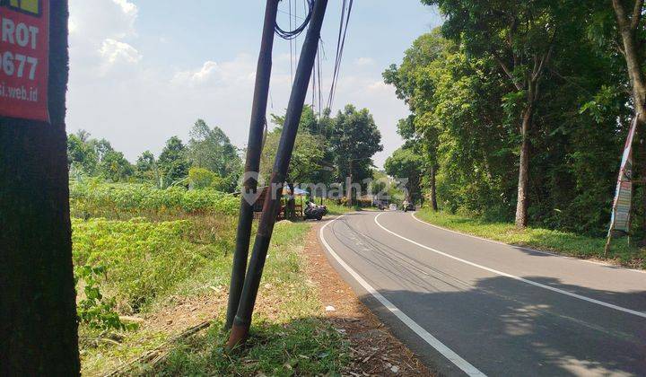 Tanah Kebun Di Kawasan Desa Cijayanti Akses Jalan Utama 2