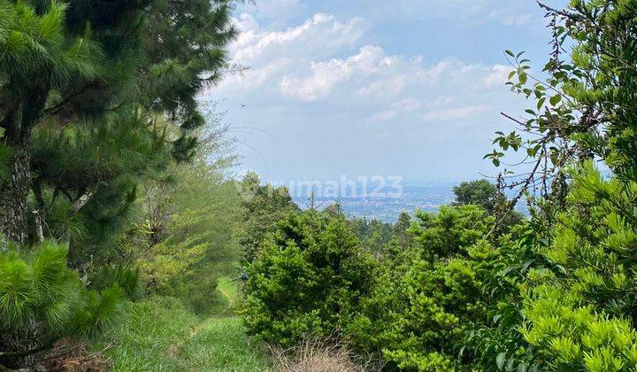 Tanah Di Cijeruk Bogor Cocok Untuk Inves Lokasi Best View 2