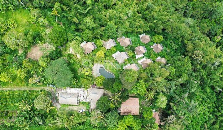 PURI SEBATU RESORT - UBUD BALI - DIJUAL CEPAT 2