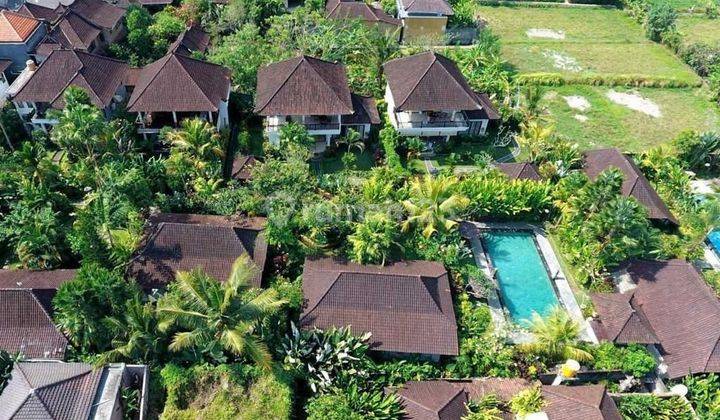 Bali Dream Resort, Ubud Bali - Hotel Bintang 3 1