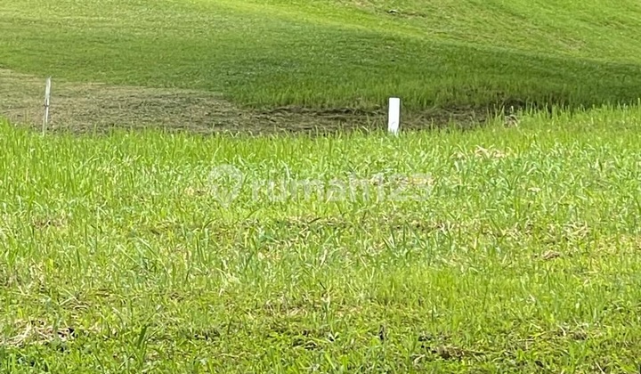 Kavling Eksklusif Golf View di New Royal - Grand Kawanua International City Manado Kavling Eksklusif Golf View di New Royal - Grand Kawanua International City Manado